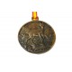 Medalla de homologacion de Corzo